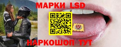 гидра Будённовск