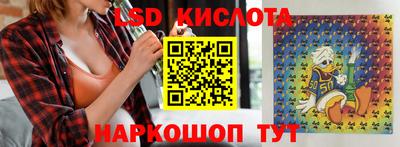 гидра Будённовск