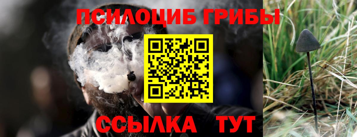 Куйбышев  цены наркотик  Вход с VPN  Псилоцибиновые грибы GOLDEN TEACHER 